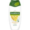 Palmolive® Naturals Duschcreme Milch & Honig 250ML -Pflege Verkauf palmolive naturals duschcreme milch amp honig 250ml